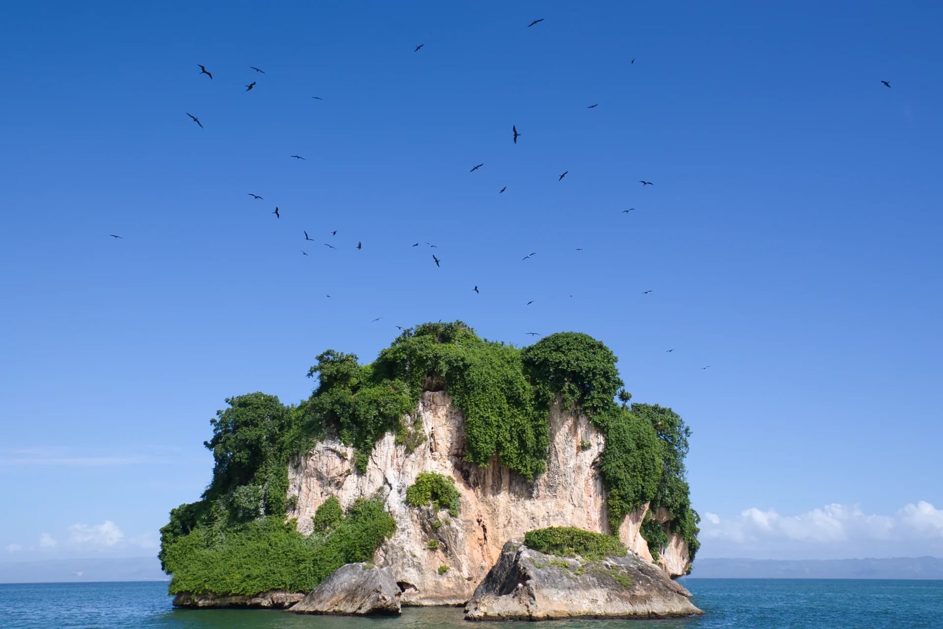 Manglares y formaciones rocosas del Parque Nacional Los Haitises