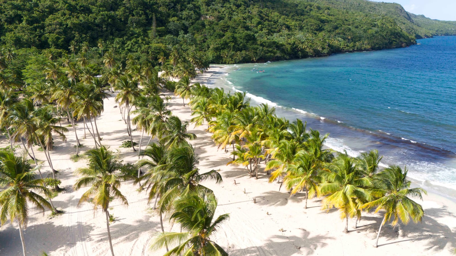 Playa Rincón - vista 14